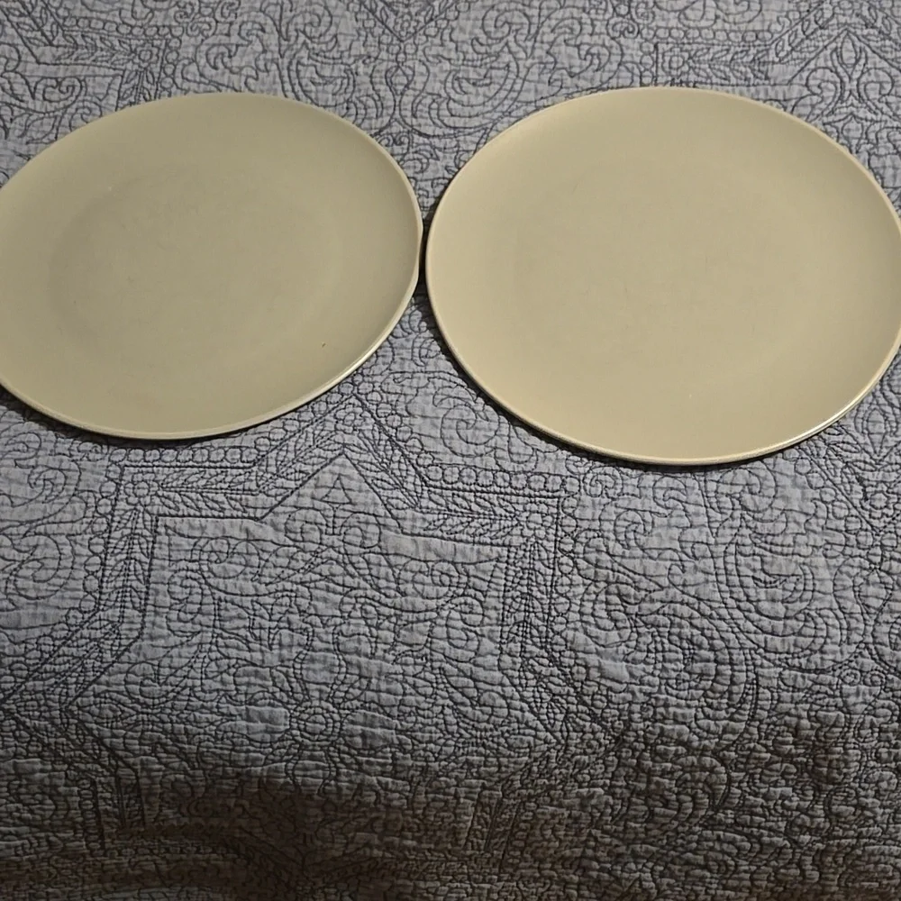 IKEA Stoneware Dinner Plates Set of 2